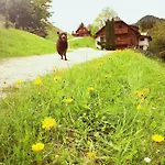 Tatil Evi Ahornhütte Schladming