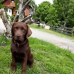 Ahornhütte Tatil Evi *