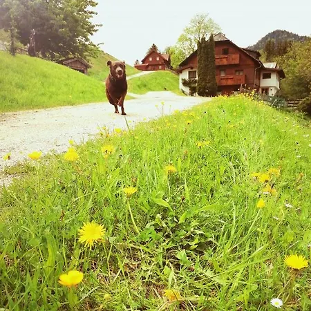 Holiday home Ahornhuette Schladming