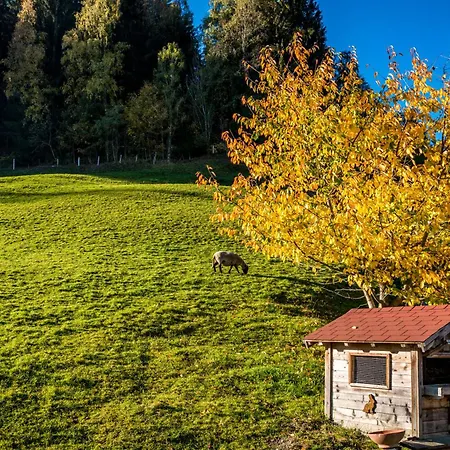 Ahornhuette * سخلادميخ