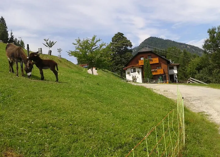 Ahornhuette Vakantiehuis