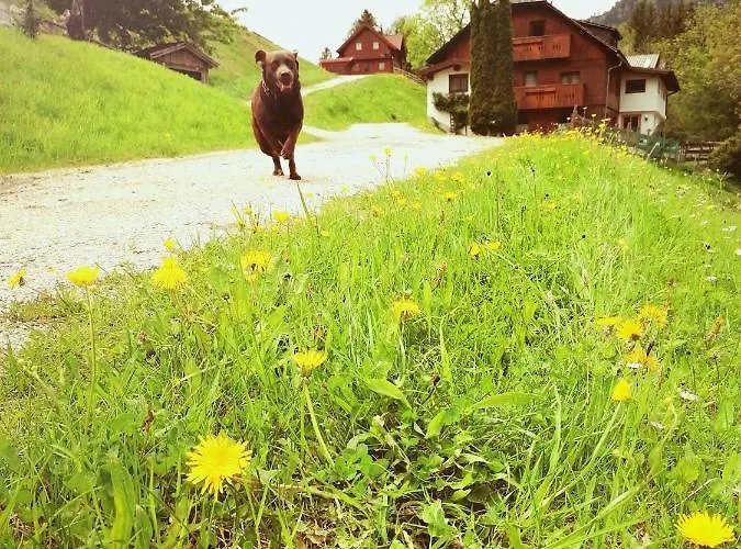 Feriehus Ahornhuette Schladming