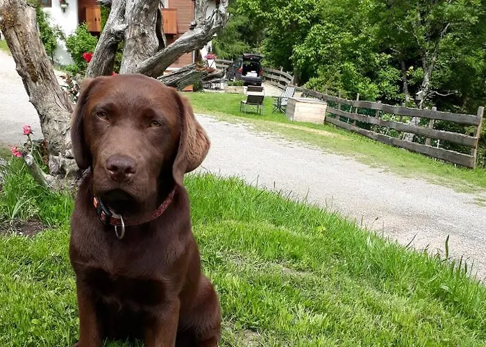 Ahornhuette Vakantiehuis *