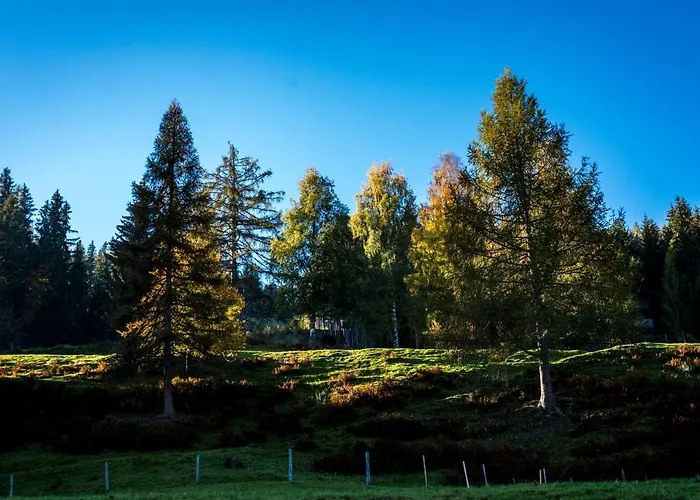 Ahornhuette * سخلادميخ