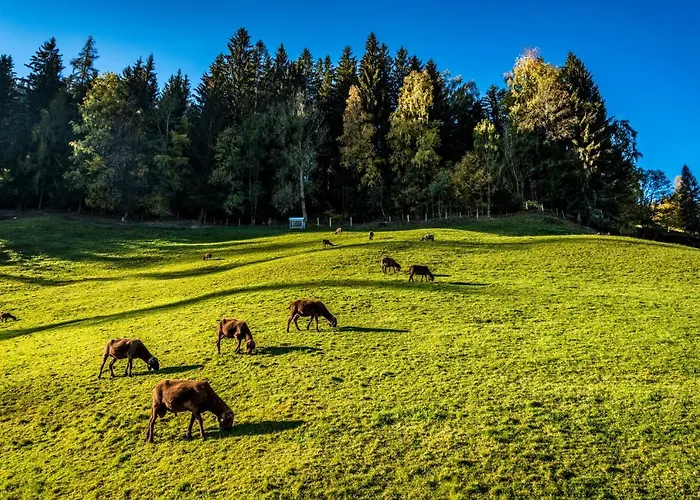 Vakantiehuis Ahornhuette