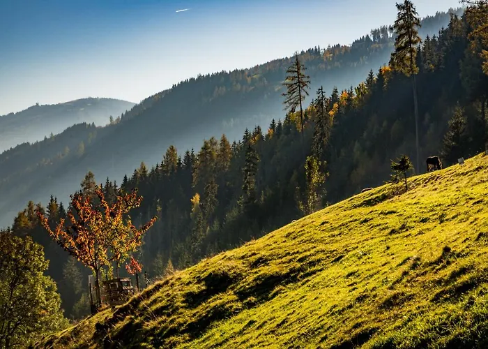 Ahornhuette سخلادميخ