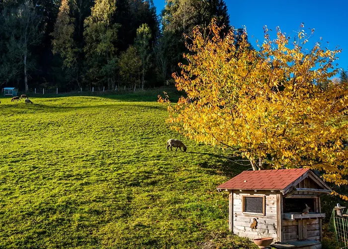 Ahornhuette * Schladming